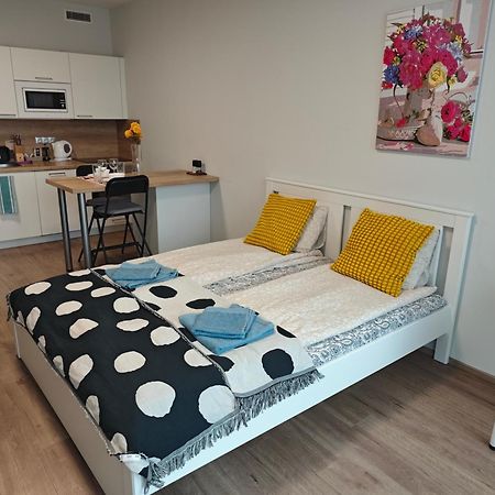 Comfort Flat With Great Location ปราก ภายนอก รูปภาพ
